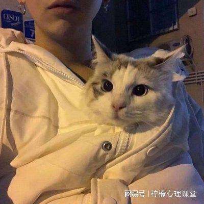 喷气式三级跳破解版下载