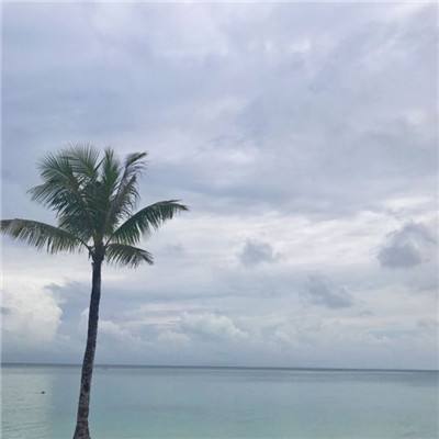 集换风暴官方下载